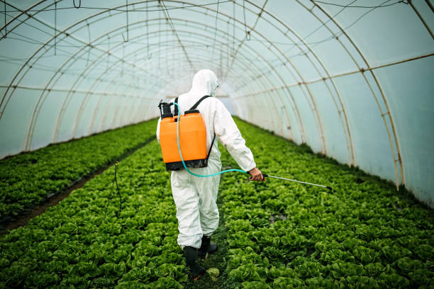 Best Affordable Pest Control Services  in Mineville, NY