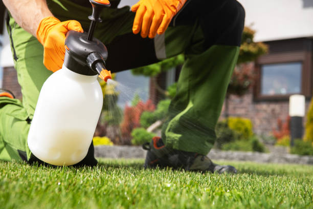 Best Cockroach Control Services  in Mineville, NY