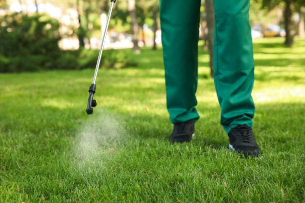 Best Pest Control Treatment  in Mineville, NY