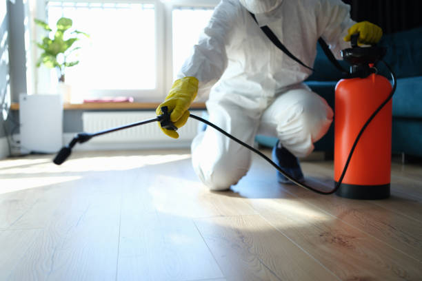Best Flea Control Services  in Mineville, NY