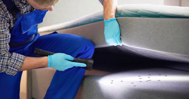 Best Emergency Pest Control  in Mineville, NY