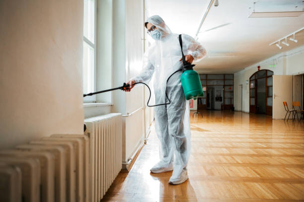 Trusted Mineville, NY Pest Control Experts