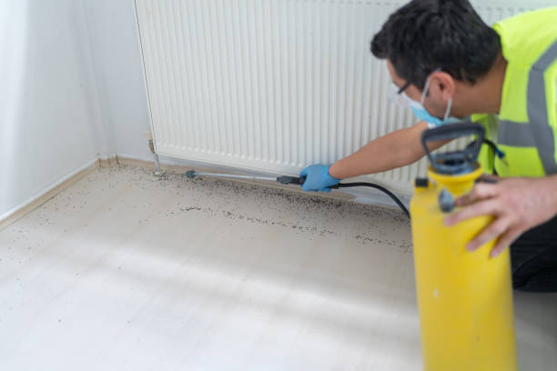 Best Pest Removal Services  in Mineville, NY