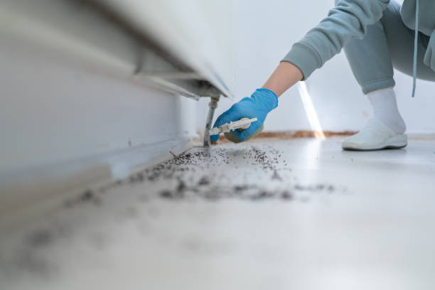 Best Best Pest Control Companies  in Mineville, NY