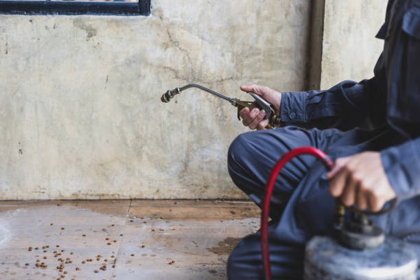 Best Local Pest Control Services  in Mineville, NY