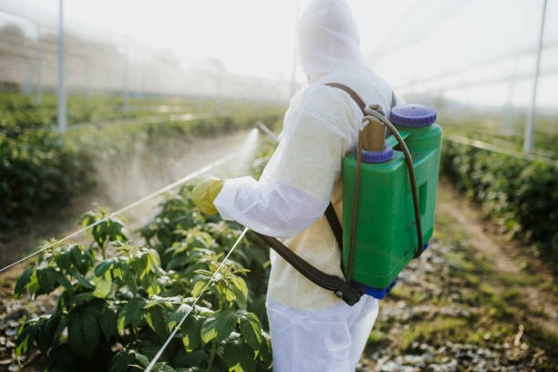 Best Pest Prevention Services  in Mineville, NY